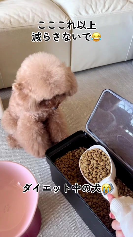 TikTok video thumbnail by benisan7