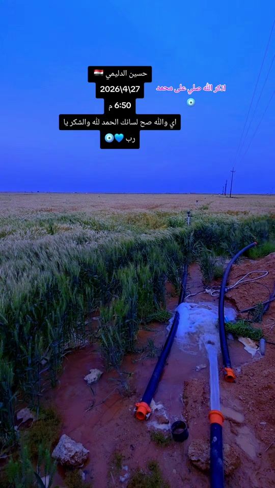 TikTok video thumbnail by h_8_8_8_8_h_m