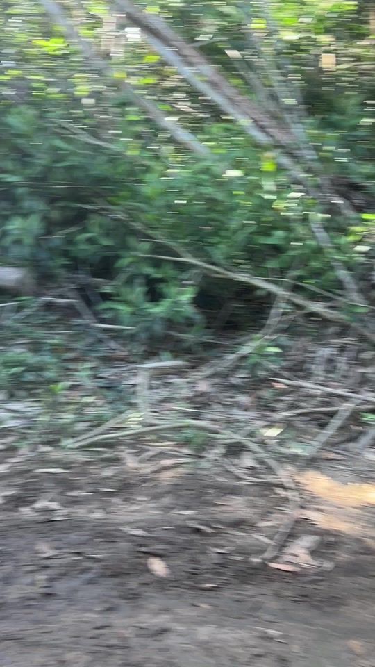TikTok video thumbnail by luispineda151