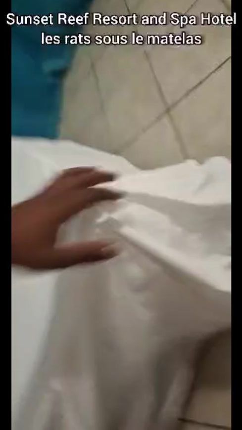 TikTok video thumbnail by granildor