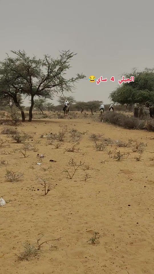 TikTok video thumbnail by abdullahzineel0