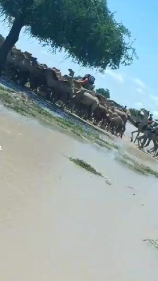 TikTok video thumbnail by ali_h_ss_10