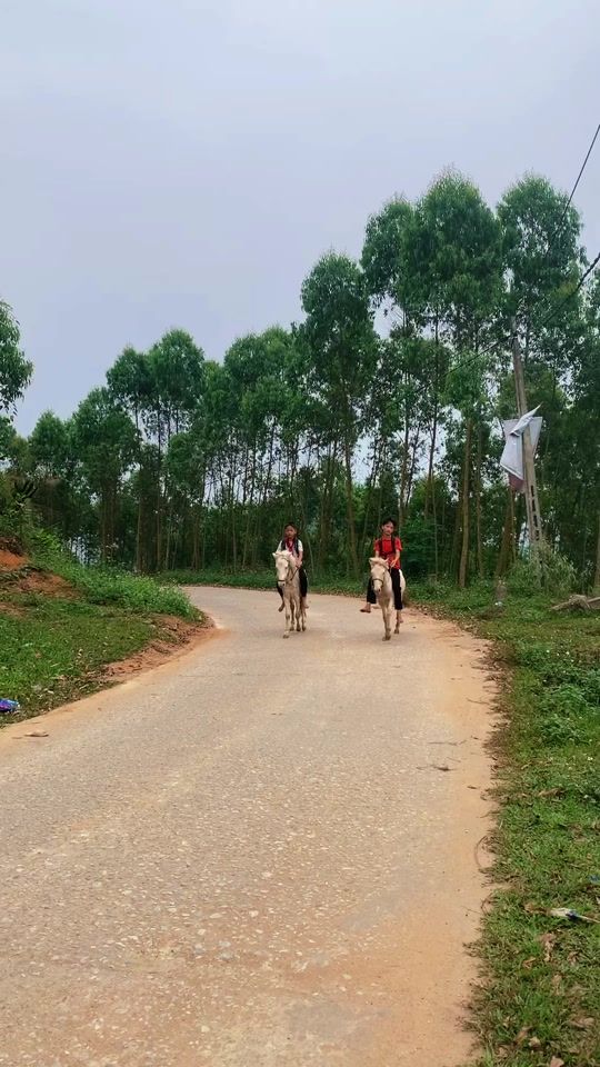 TikTok video thumbnail by ducvlg