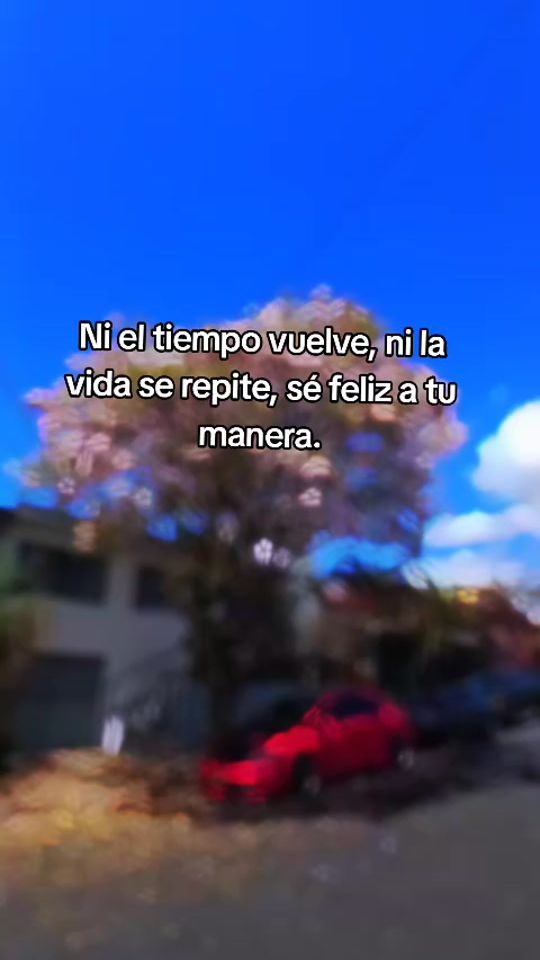 TikTok video thumbnail by octava_rosado