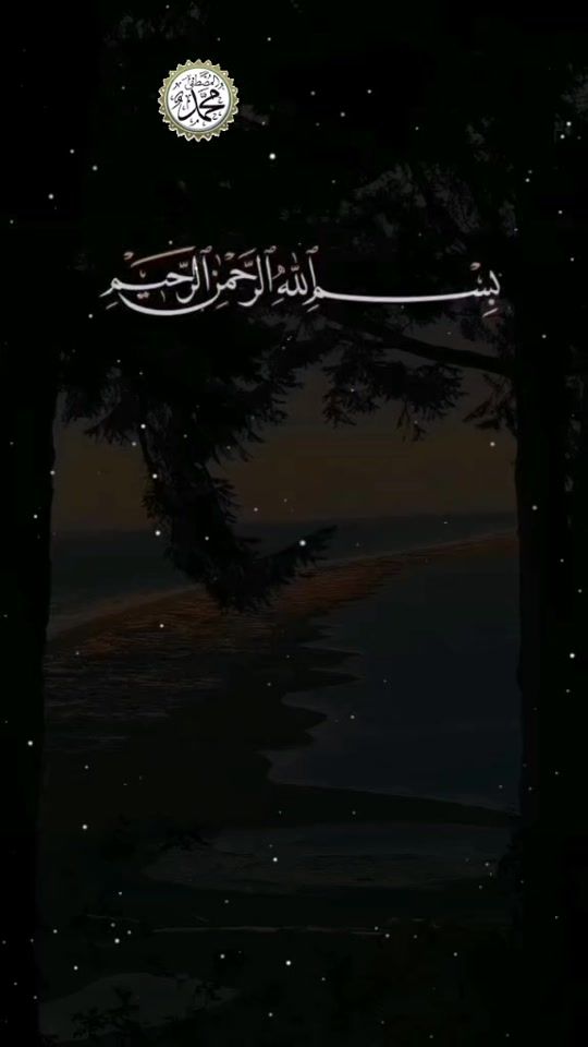 TikTok video thumbnail by vahaptoprak6534