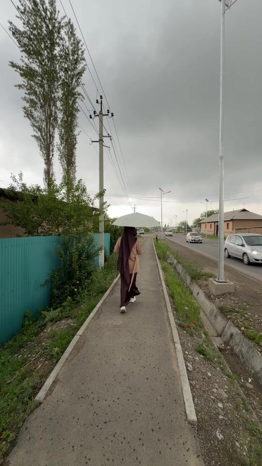 TikTok video thumbnail by dr_zebo