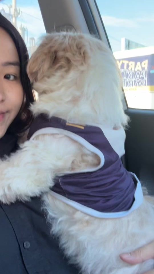 TikTok video thumbnail by chelseavlim