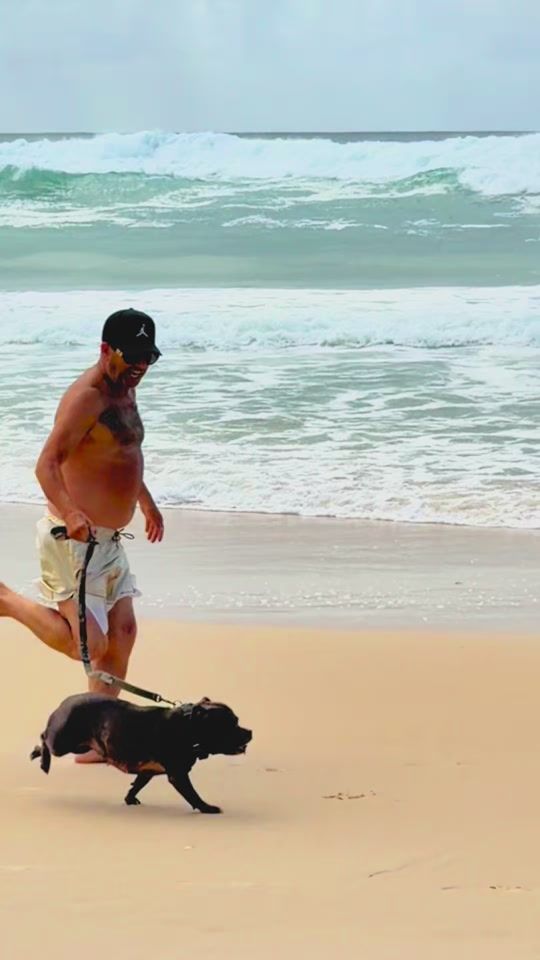TikTok video thumbnail by kingof_kebabs