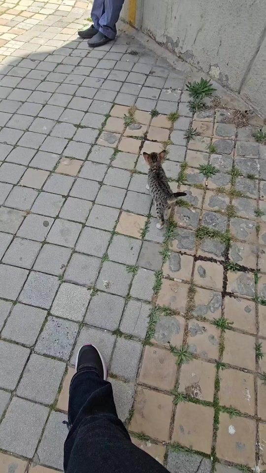 TikTok video thumbnail by eybj2