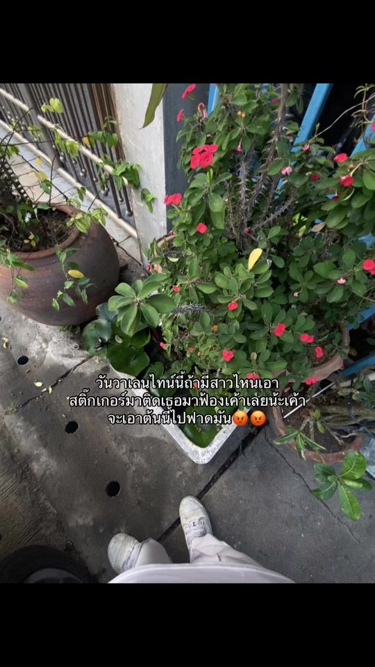 TikTok video thumbnail by cvcxx_.07