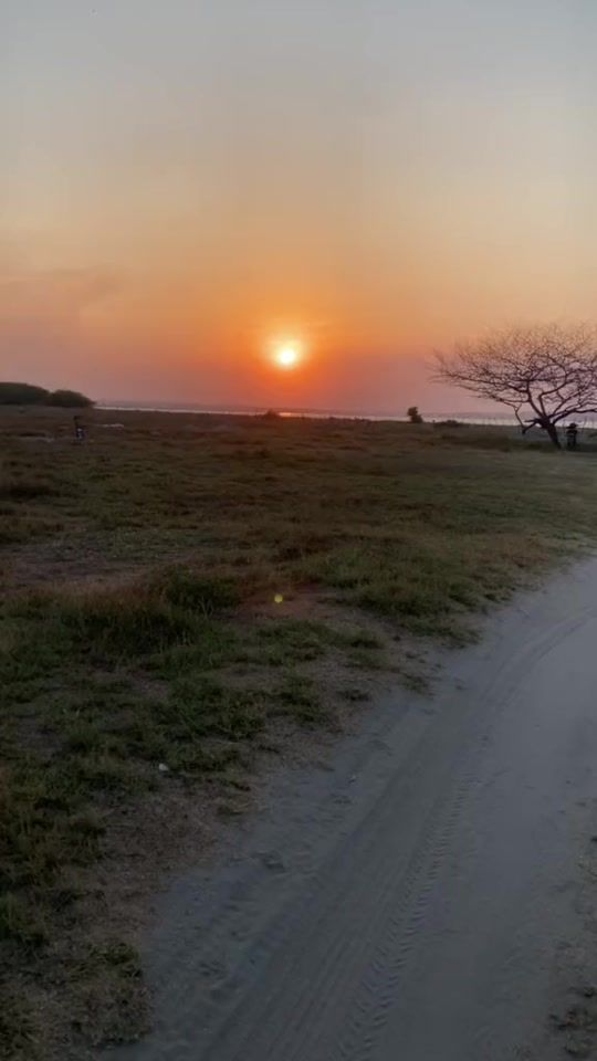 TikTok video thumbnail by medoza2