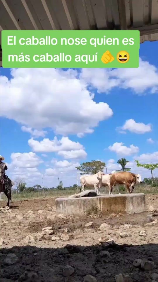 TikTok video thumbnail by jon.esmitd