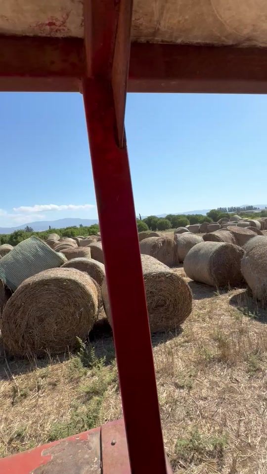 TikTok video thumbnail by y.daglarca
