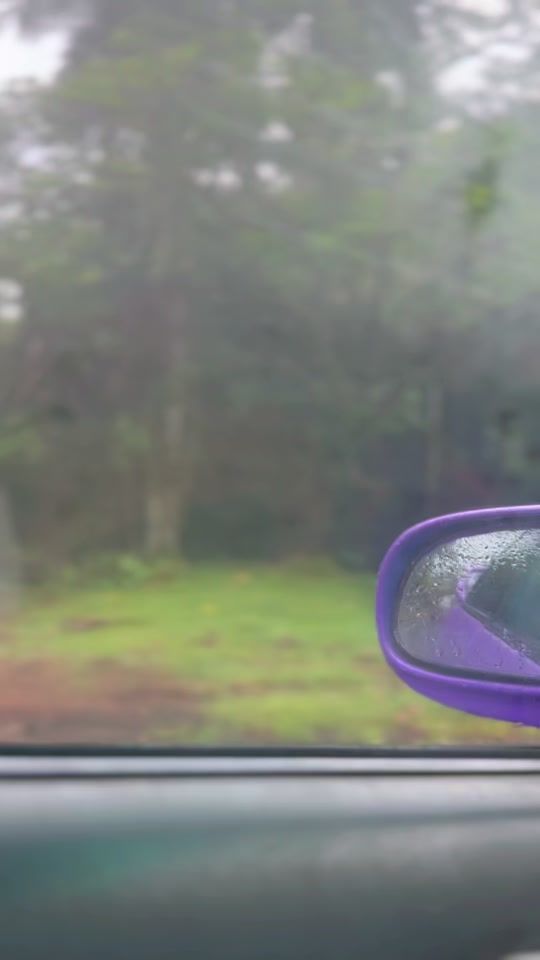 TikTok video thumbnail by shay_nil