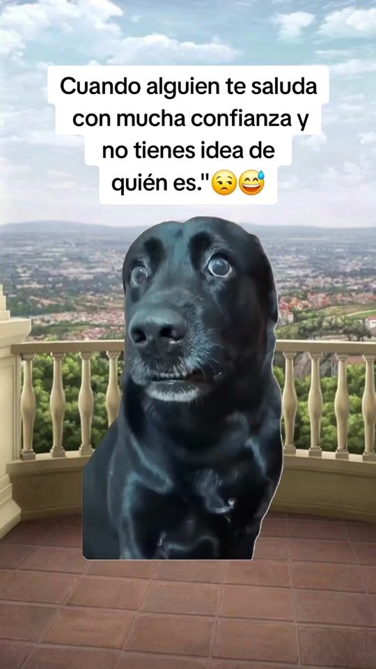 TikTok video thumbnail by anyi.merlo