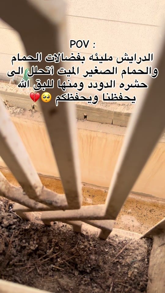 TikTok video thumbnail by elhaya.clean