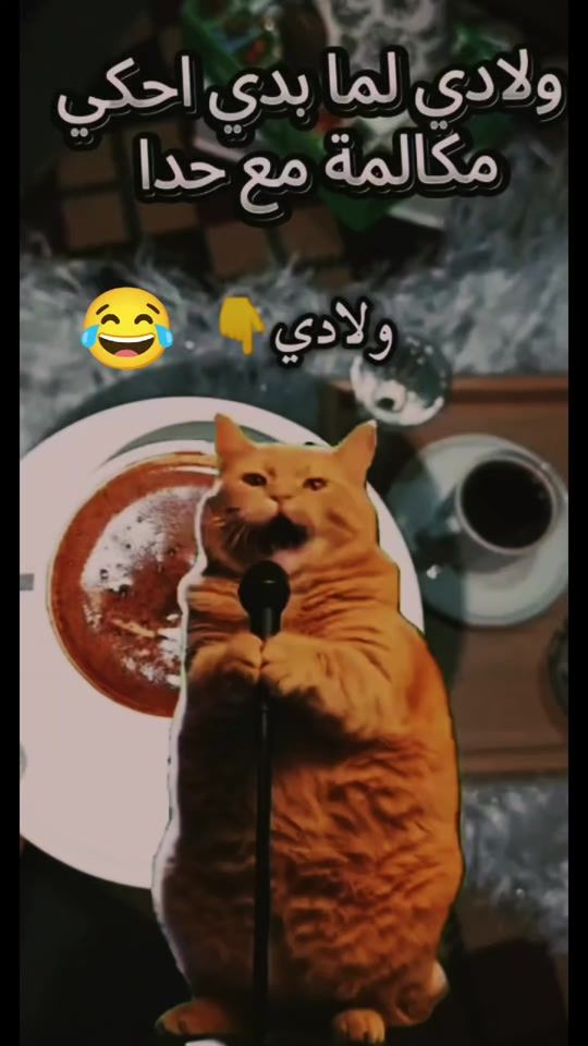 TikTok video thumbnail by user6361326319065