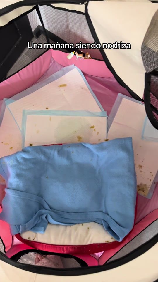 TikTok video thumbnail by missfranchutee