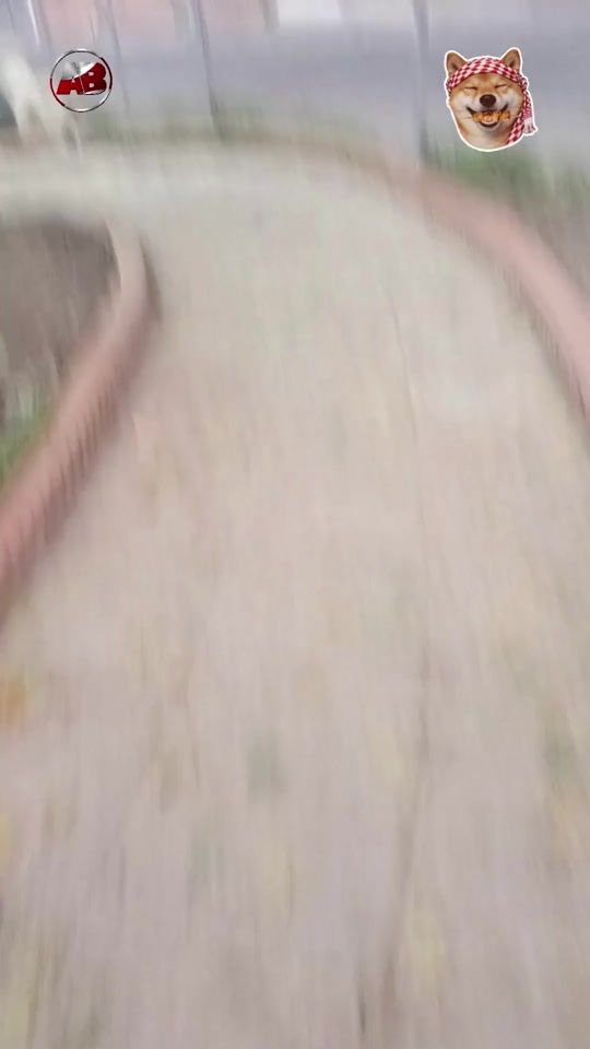 TikTok video thumbnail by trueno775