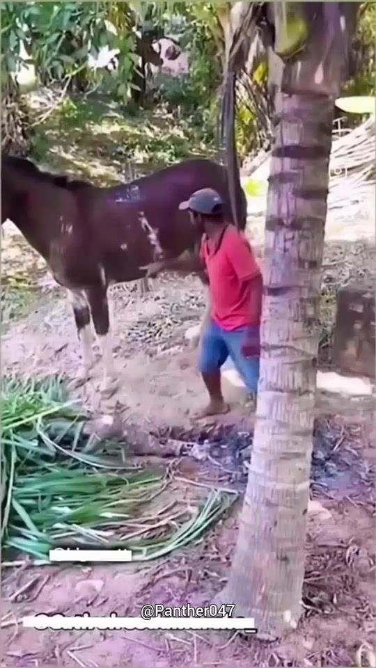 TikTok video thumbnail by panther.047