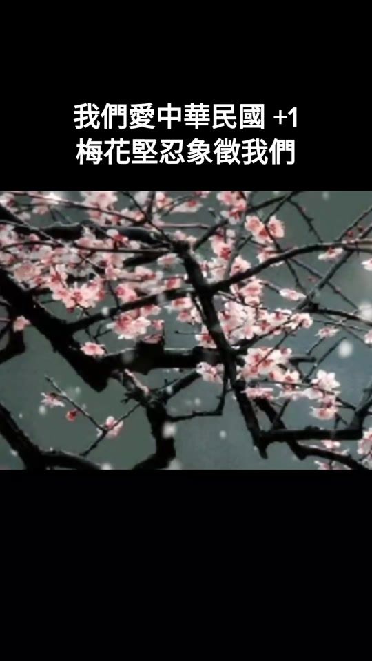 TikTok video thumbnail by harman250kao