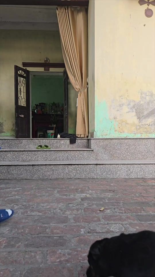 TikTok video thumbnail by 89dodo2000