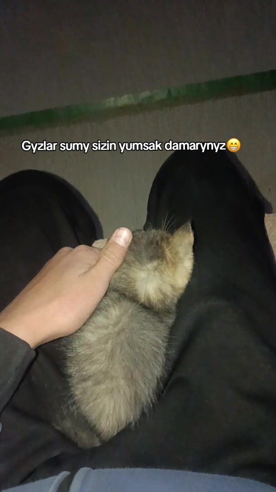 TikTok video thumbnail by user_nx_99