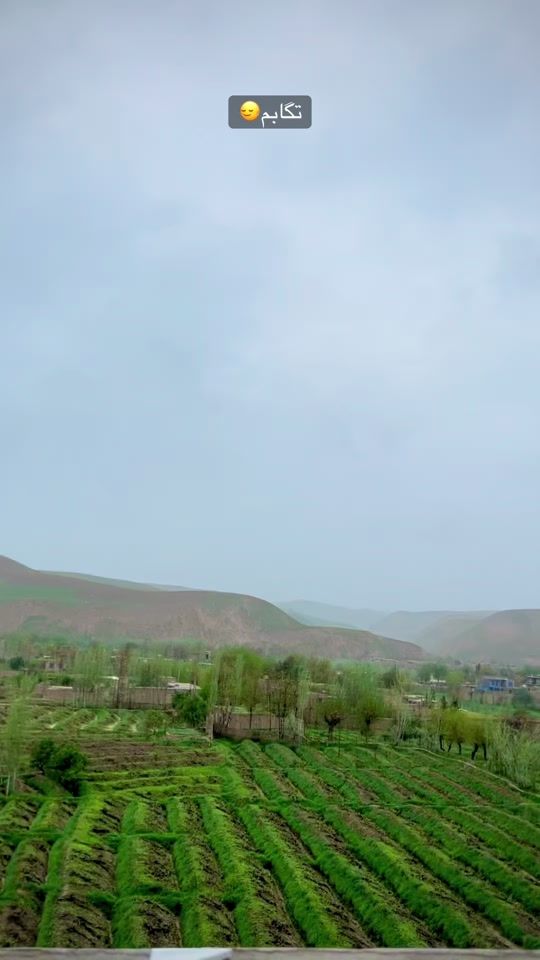 TikTok video thumbnail by payamyarash