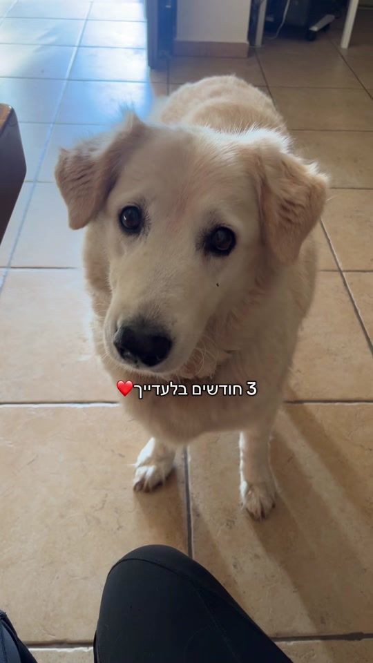 TikTok video thumbnail by bonbon.ns