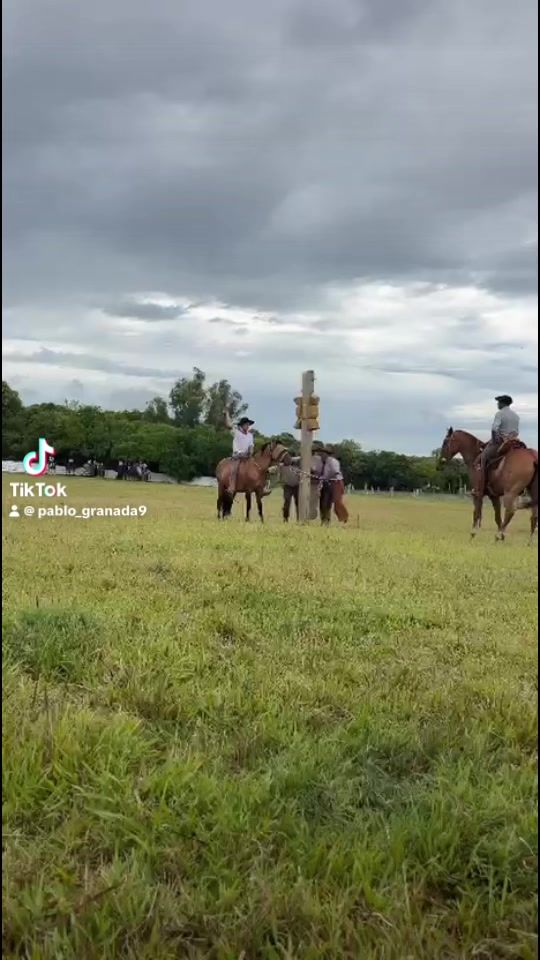 TikTok video thumbnail by pablo_granada9