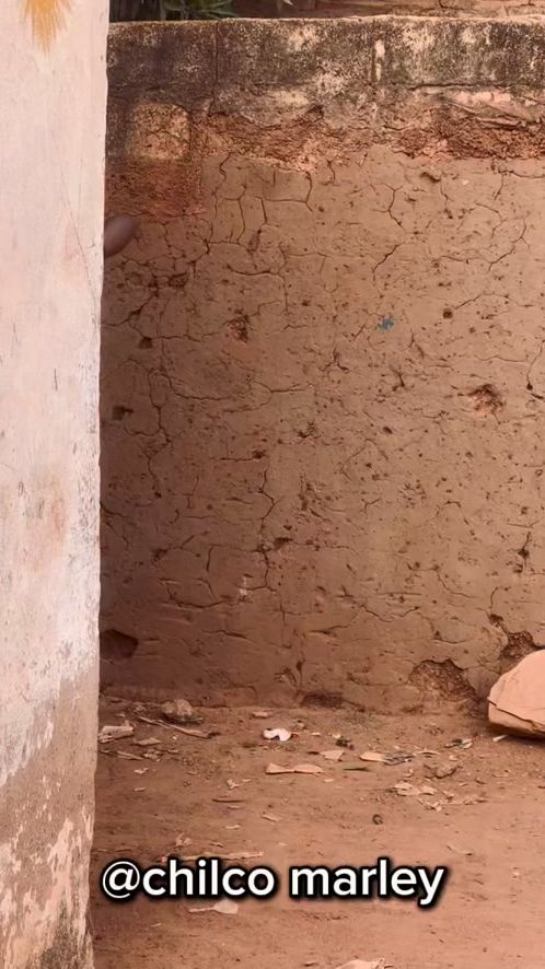 TikTok video thumbnail by chilcomarley