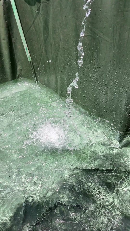 TikTok video thumbnail by conseptaquarium4