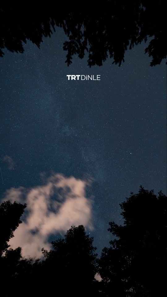 TikTok video thumbnail by trtdinle