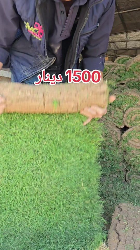TikTok video thumbnail by snobar_flowers