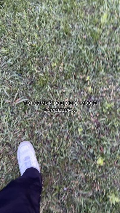 TikTok video thumbnail by 368.k