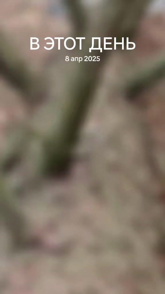 TikTok video thumbnail by sasha88650