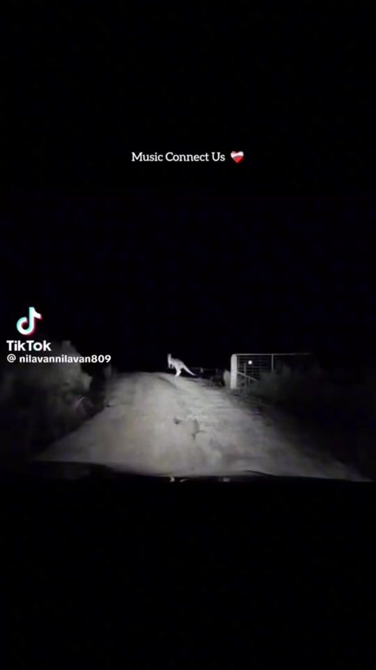 TikTok video thumbnail by ahlegi89