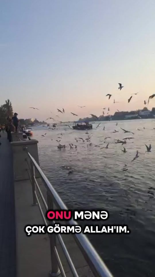 TikTok video thumbnail by bir_daha22