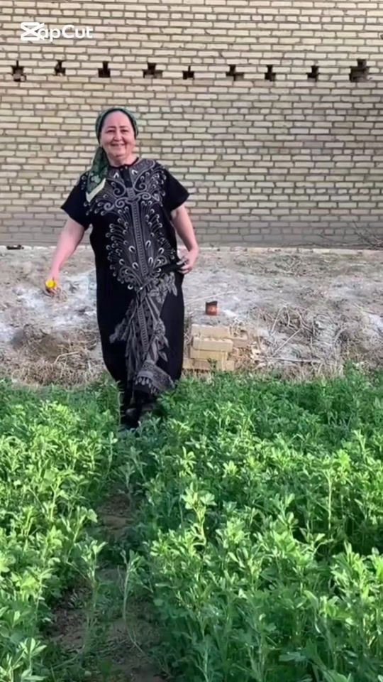 TikTok video thumbnail by gunca356
