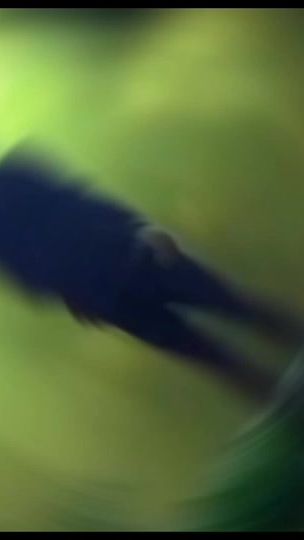 TikTok video thumbnail by kal.el.nf.mama