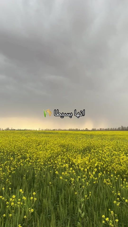TikTok video thumbnail by 7.sls.7