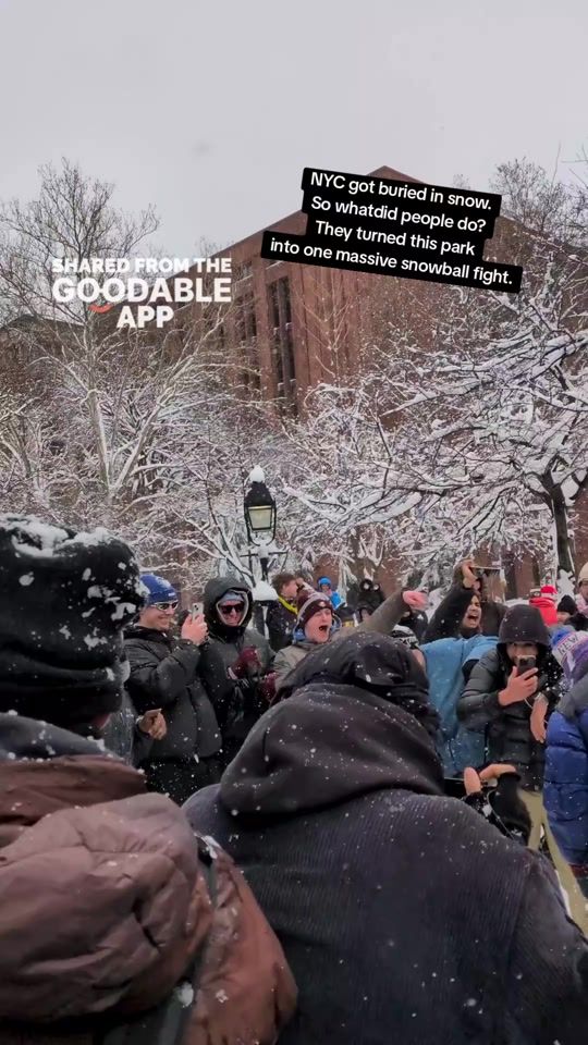 TikTok video thumbnail by goodablenews