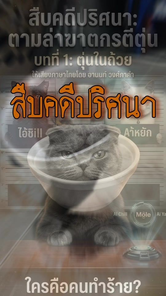 TikTok video thumbnail by sawbhatnae