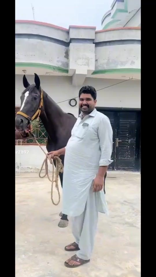 TikTok video thumbnail by .umer_chattha