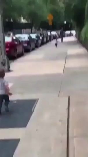 TikTok video thumbnail by gray._.gubler