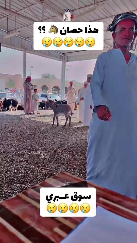 TikTok video thumbnail by oman_ibrahim1