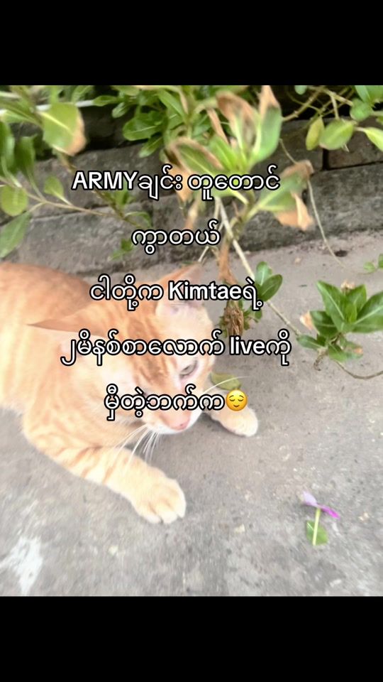 TikTok video thumbnail by yeoni6133