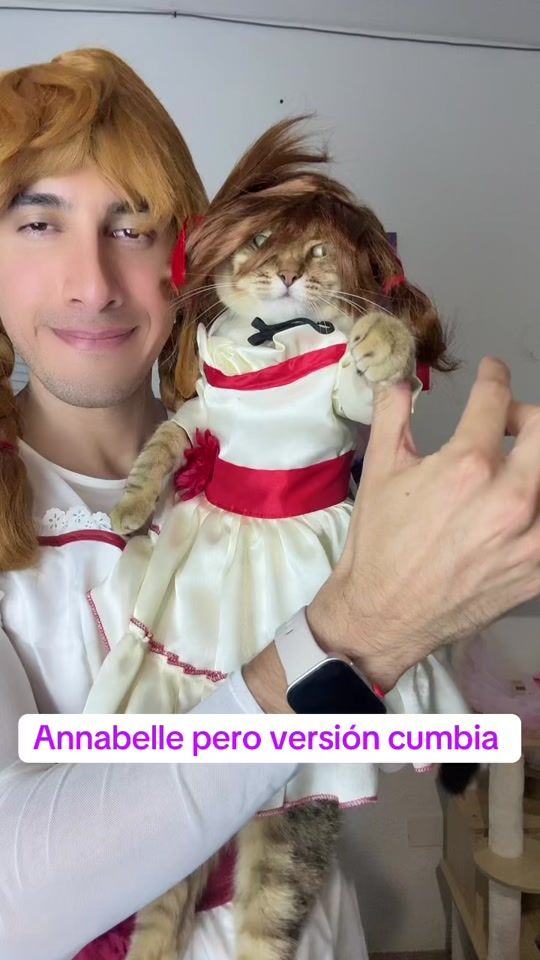 TikTok video thumbnail by pepeylila