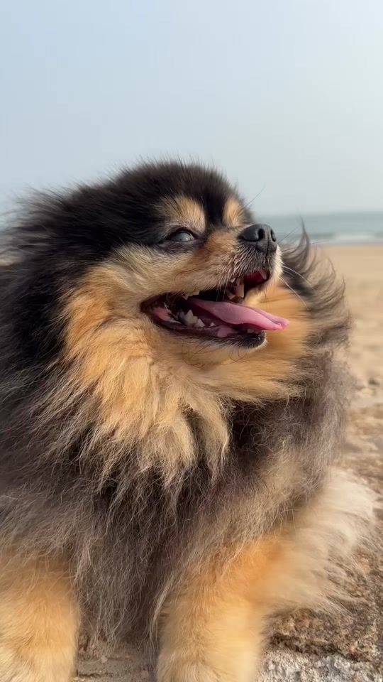 TikTok video thumbnail by kimtantan_