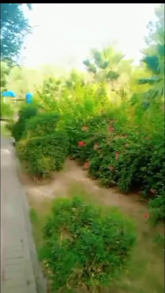 TikTok video thumbnail by noorshzdirajpoot